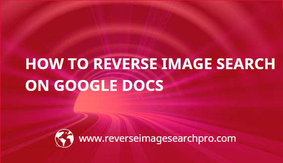 how-to-reverse-image-search-on-google-docs-best-tips-2022